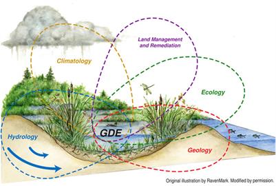 Editorial: “Novel approaches for understanding groundwater dependent ecosystems in a changing environment”